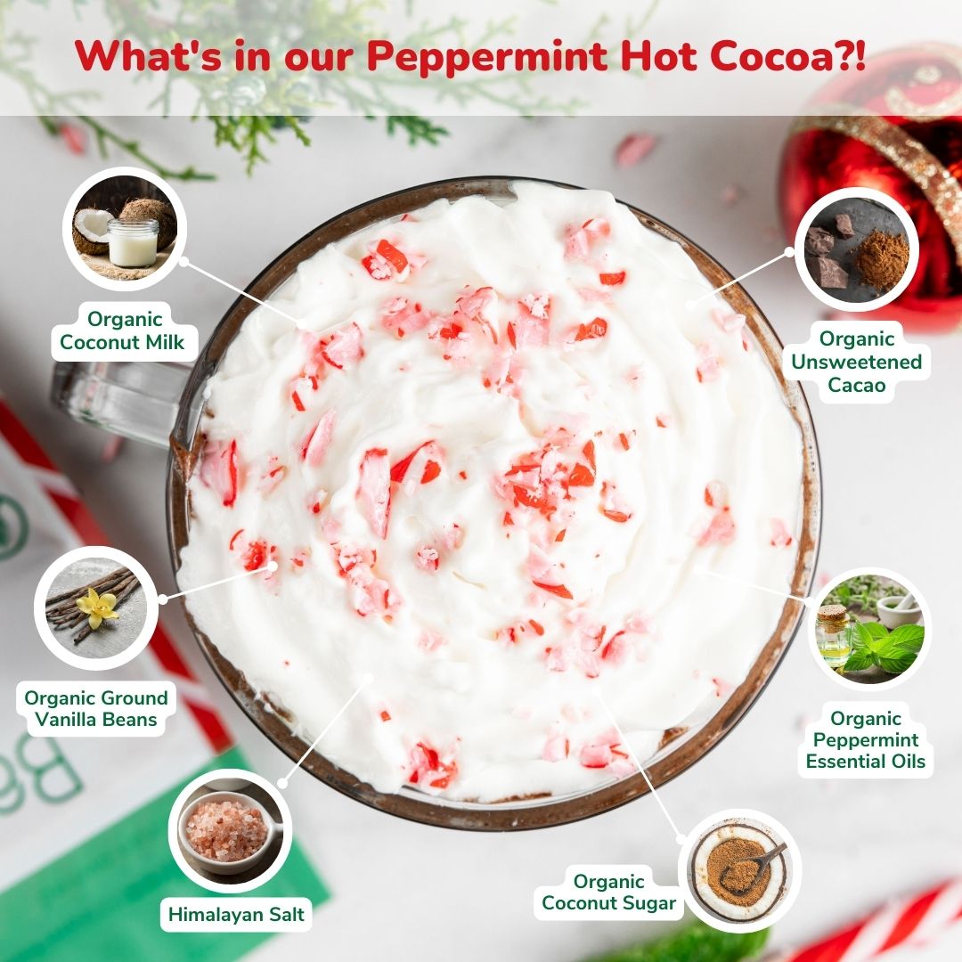 Dairy Free Peppermint Hot Cocoa Mix | 10 Serving Stand Up Pouch | Gluten Free, Vegan, Organic