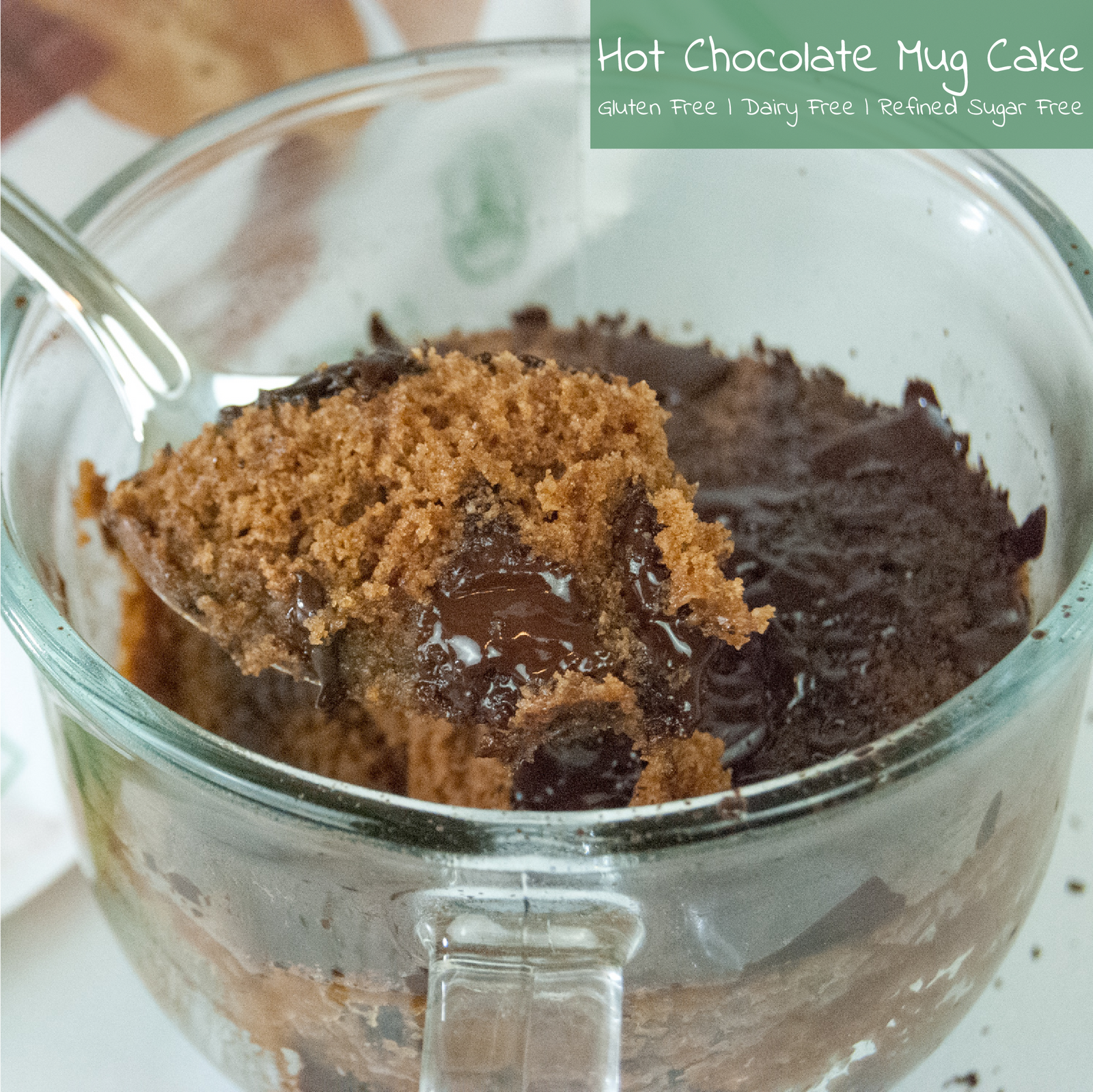 Taylor's Hot Cocoa Mug Cake