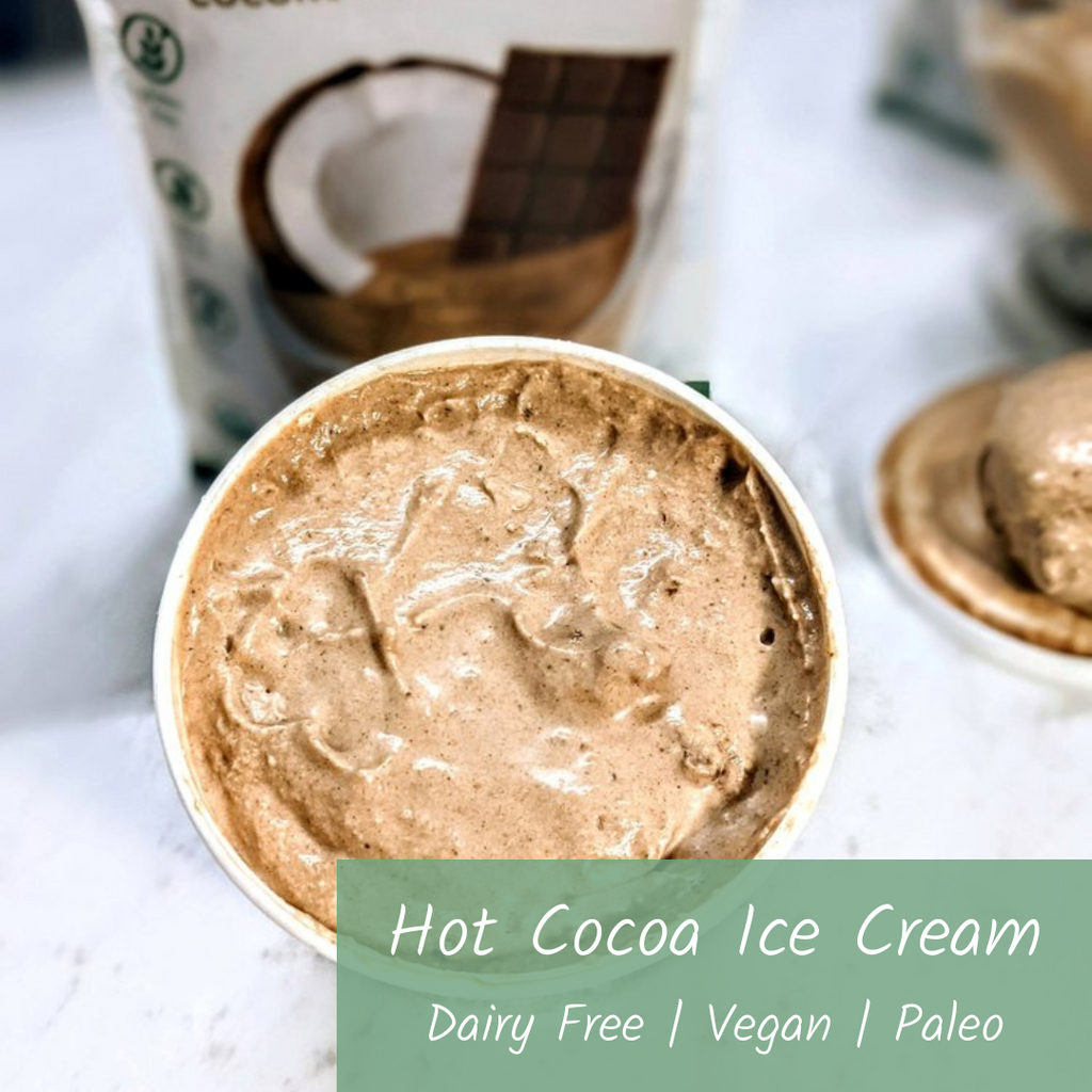 Dairy Free Hot Cocoa Ice Cream