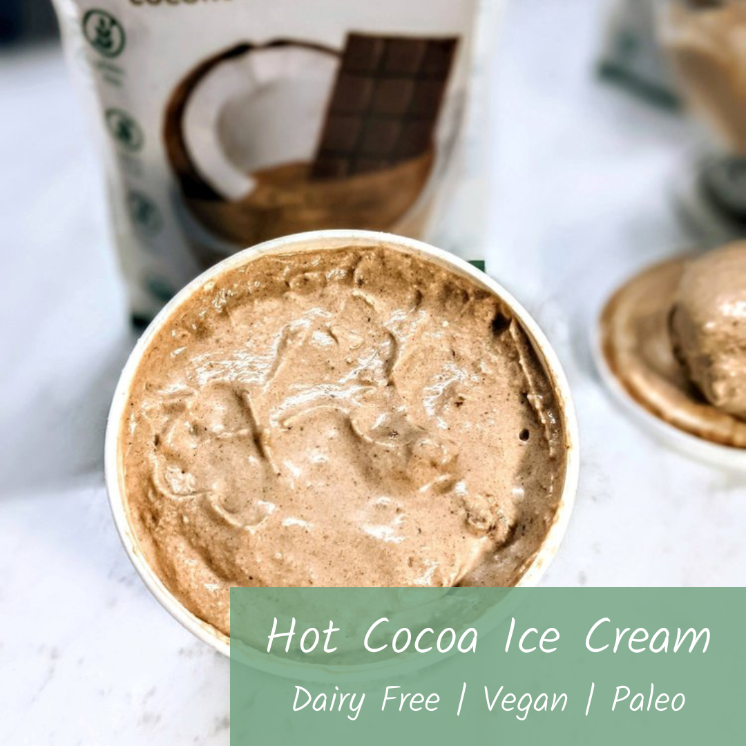 Dairy Free Hot Cocoa Ice Cream Recipe