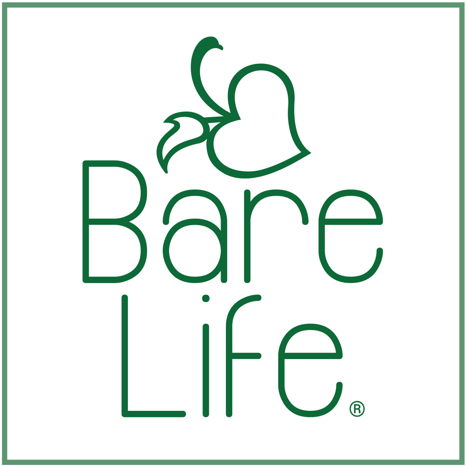 Bare Life logo for our dairy-free, gluten-free, vegan hot cocoa mixes made with clean, organic ingredients.