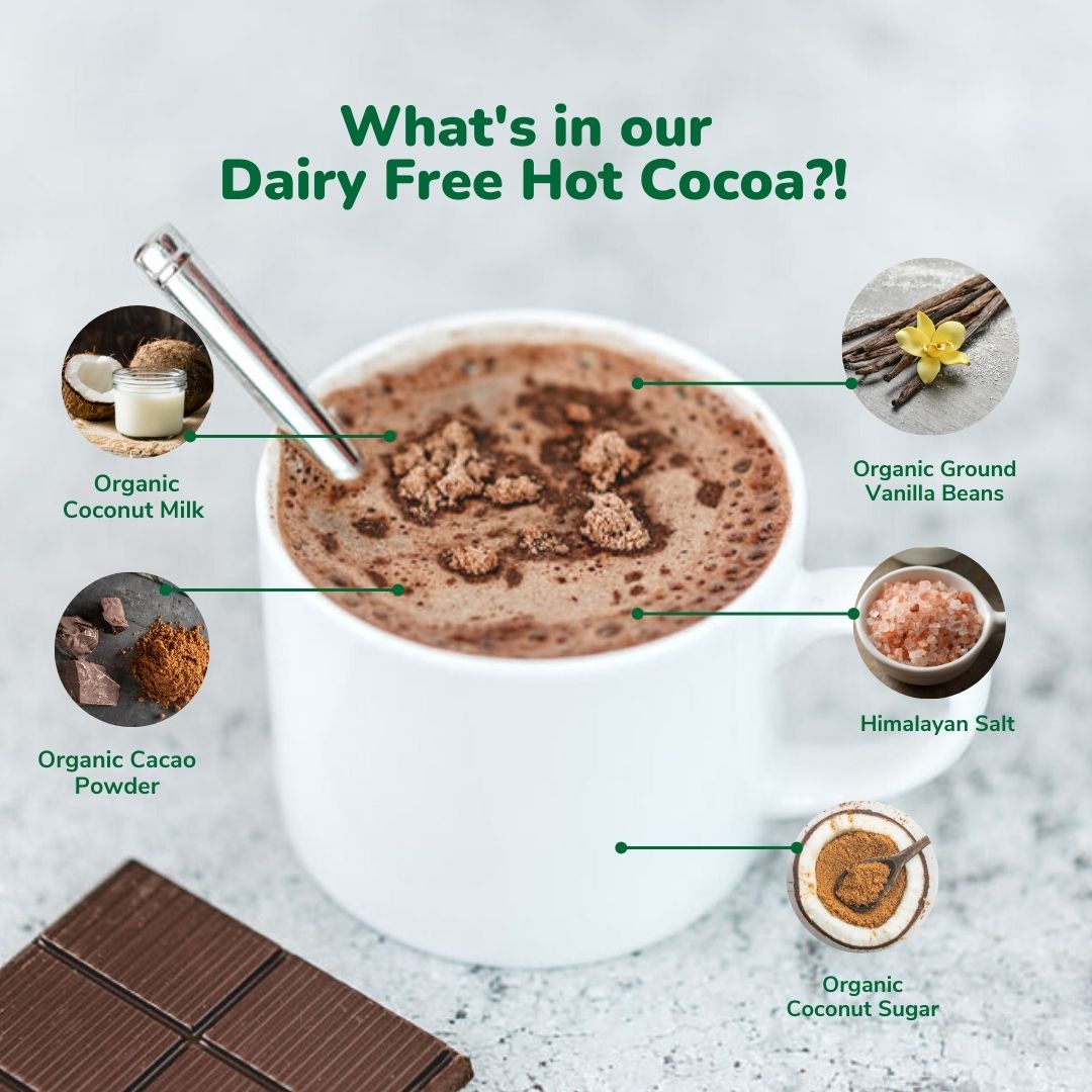 Bare Life coconut hot cocoa ingredient graphic showing coconut milk, cacao powder, vanilla beans, Himalayan salt, and coconut sugar