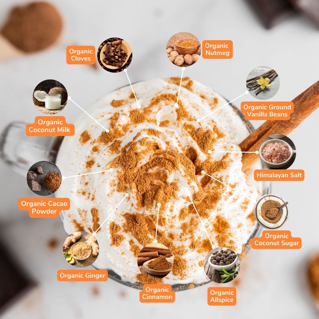 Bare Life pumpkin spice hot cocoa ingredients: coconut milk, cacao, coconut sugar, vanilla, salt, cinnamon, ginger, nutmeg, cloves, and allspice