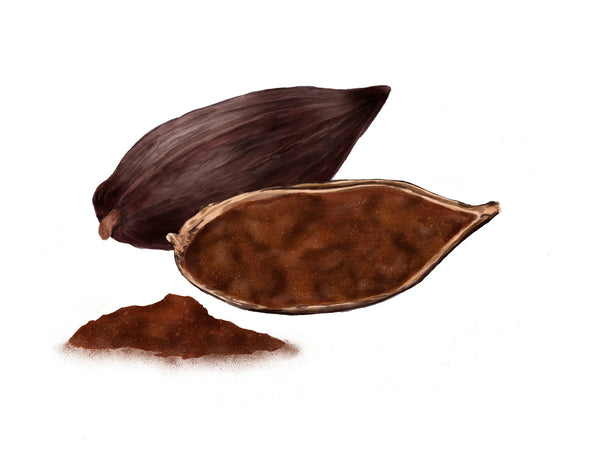 Organic Ecuadorian Cacao Powder